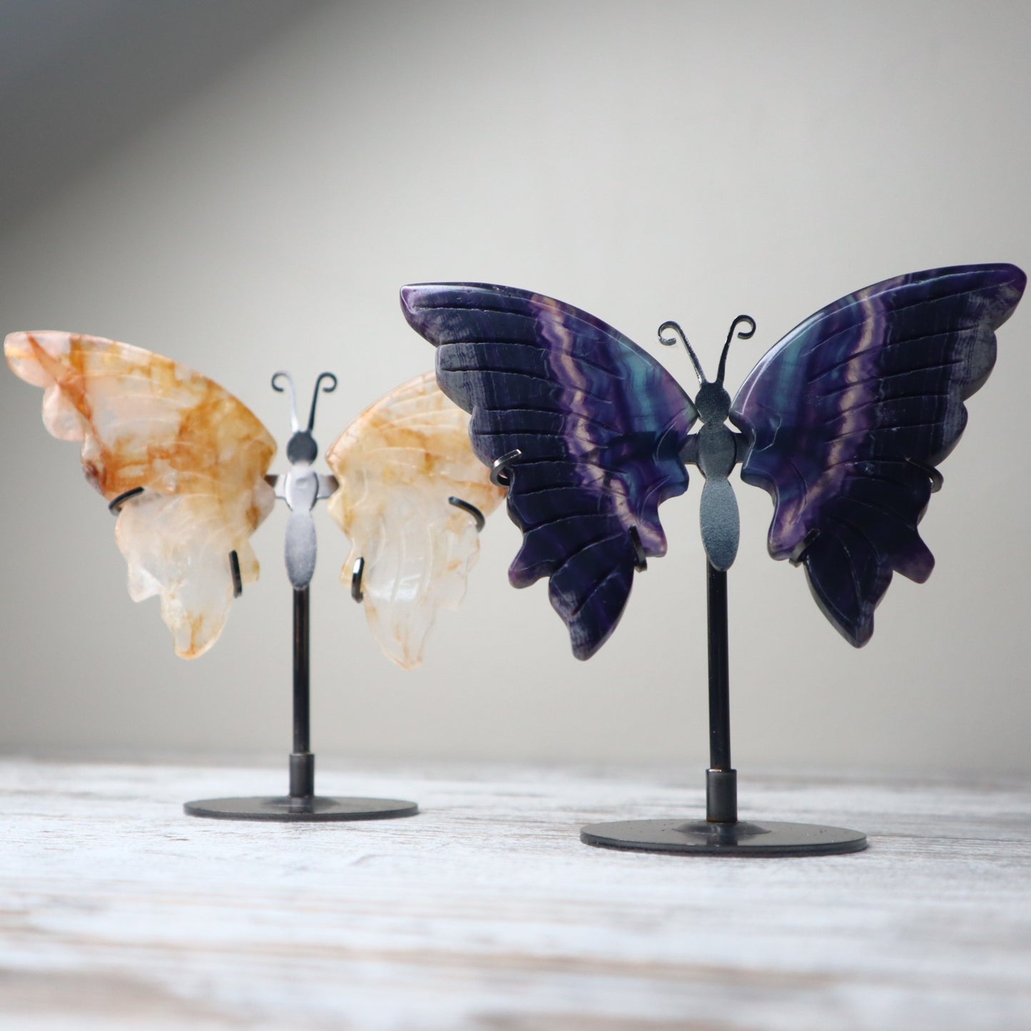 Golden Healer Butterfly on Stand | Healing, Vitality & Divine Light