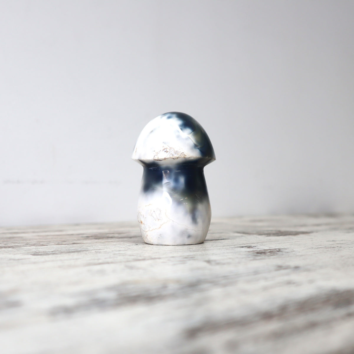 Orca Agate Mushroom | Calm, Inner Peace & Emotional Healing