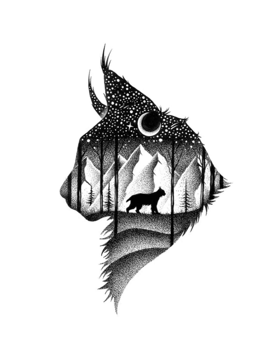 An A-Z of Animal Symbolism | Spirit Animals, Signs & Meanings