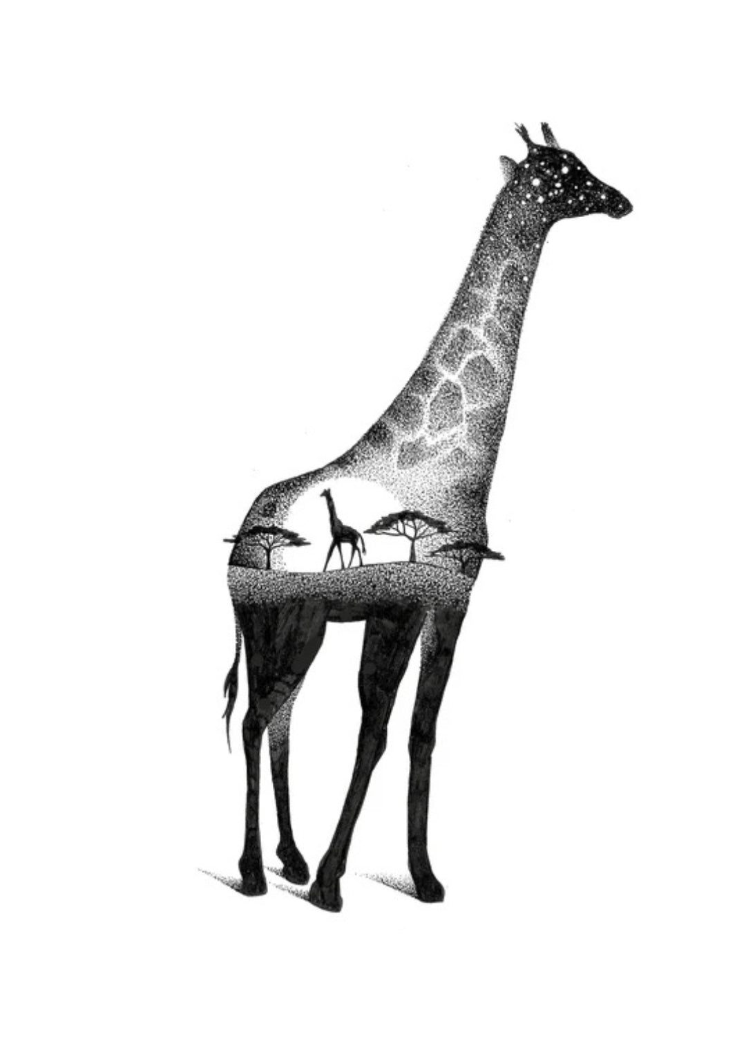 An A-Z of Animal Symbolism | Spirit Animals, Signs & Meanings
