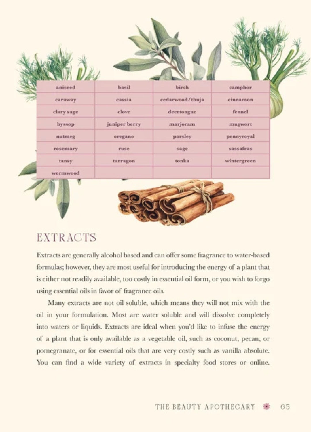 The Beauty Apothecary | Self-Love, Rituals & Holistic Beauty