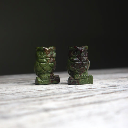 Bloodstone Owl | Strength, Courage & Grounded Protection