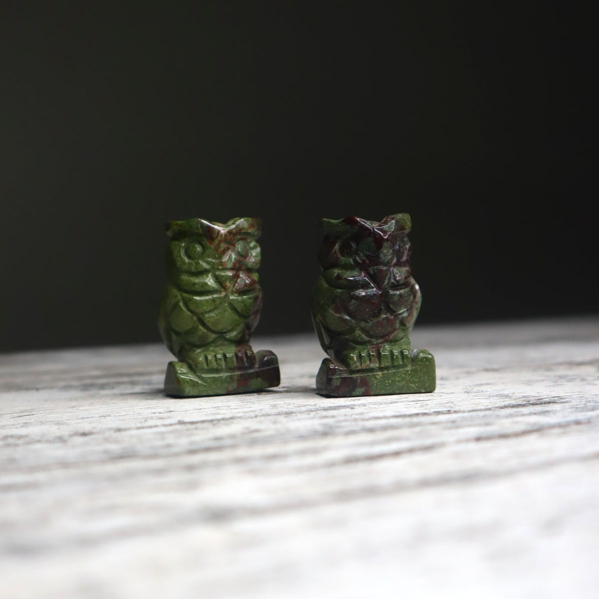Bloodstone Owl | Strength, Courage & Grounded Protection