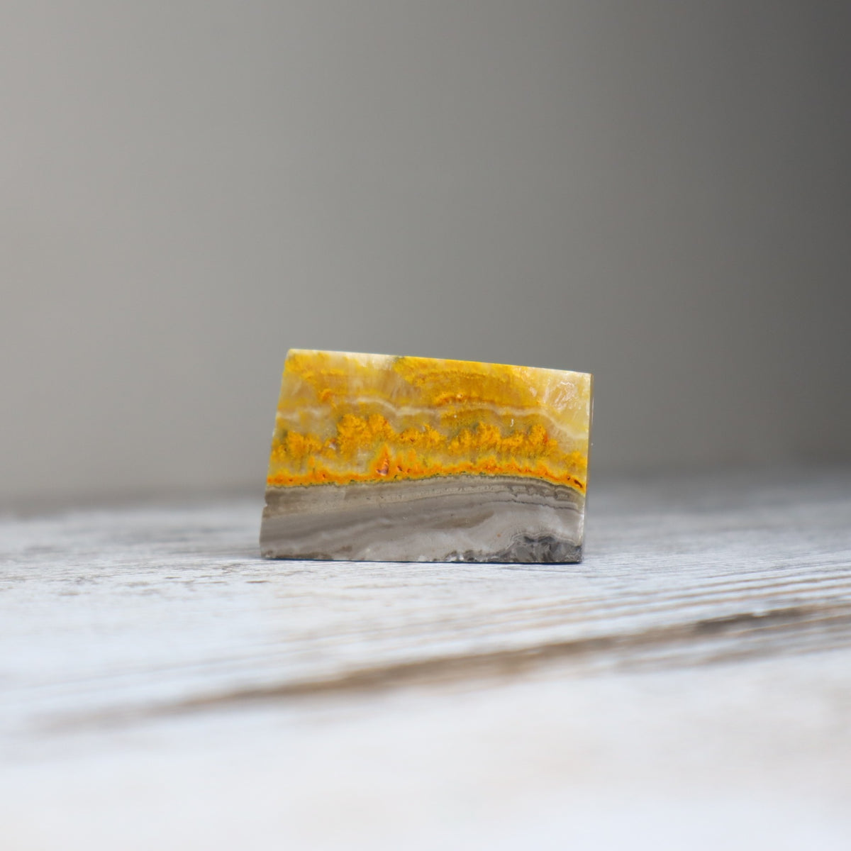 Bumble Bee Jasper Mini Freeform | Confidence, Creativity & New Beginnings
