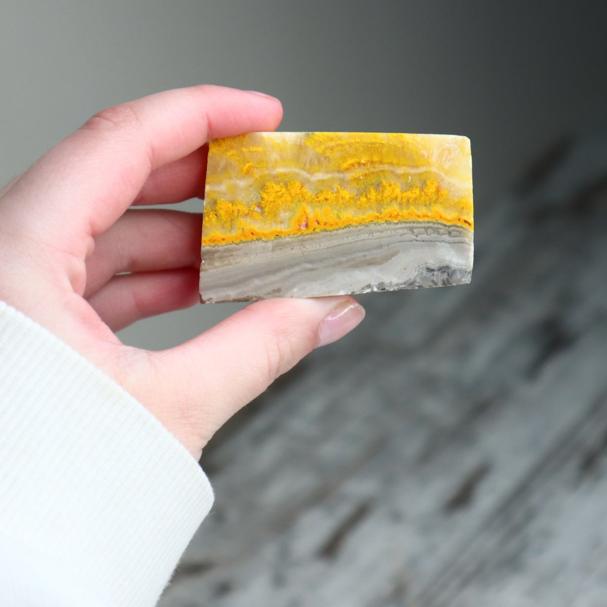 Bumble Bee Jasper Mini Freeform | Confidence, Creativity & New Beginnings