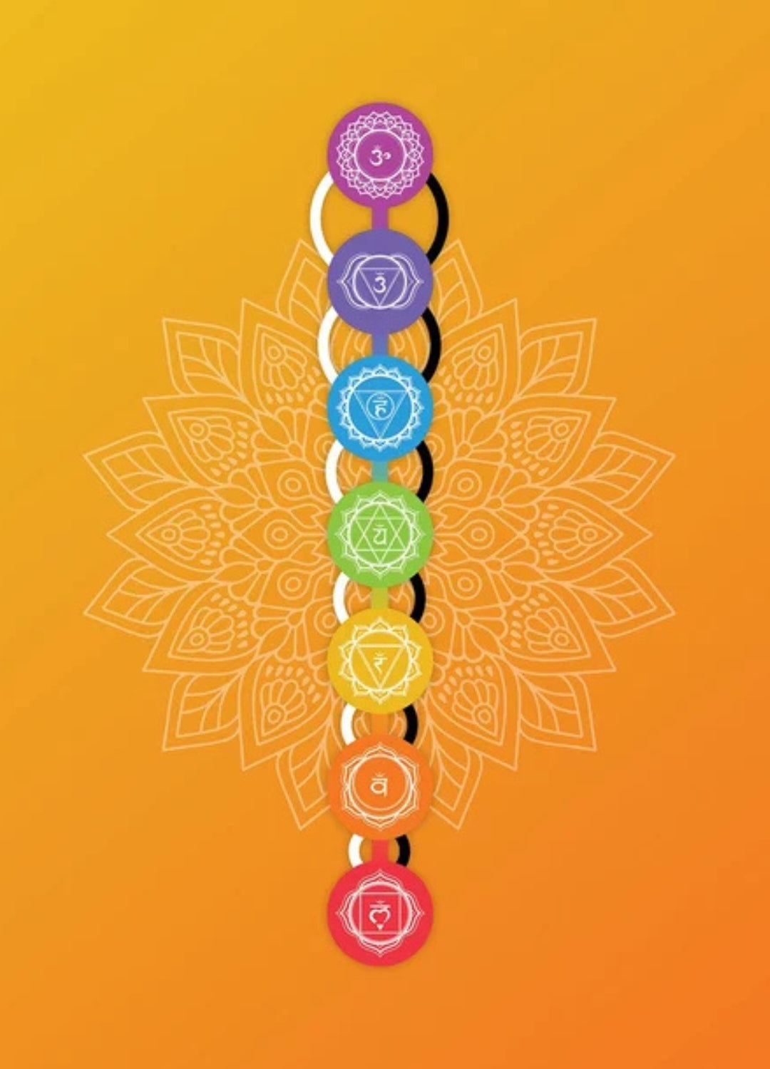 Chakras | Energy Centres, Meditation & Chakra Wisdom
