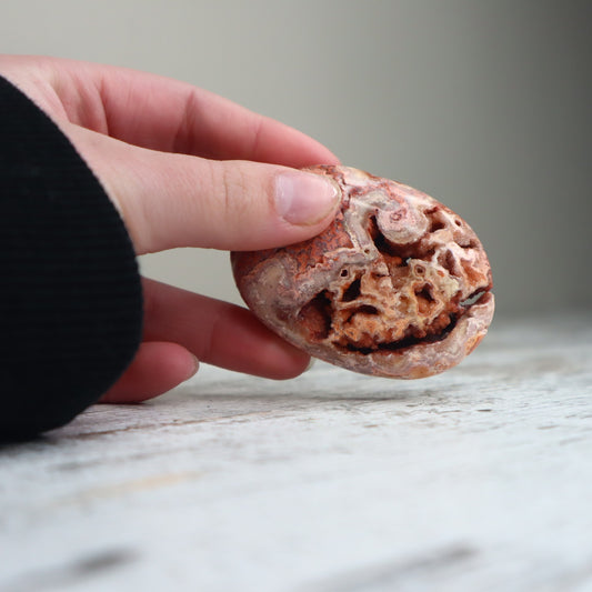 Crazy Lace Agate Druzy Palm Stone | Earth Energy, Protection & Inner Strength