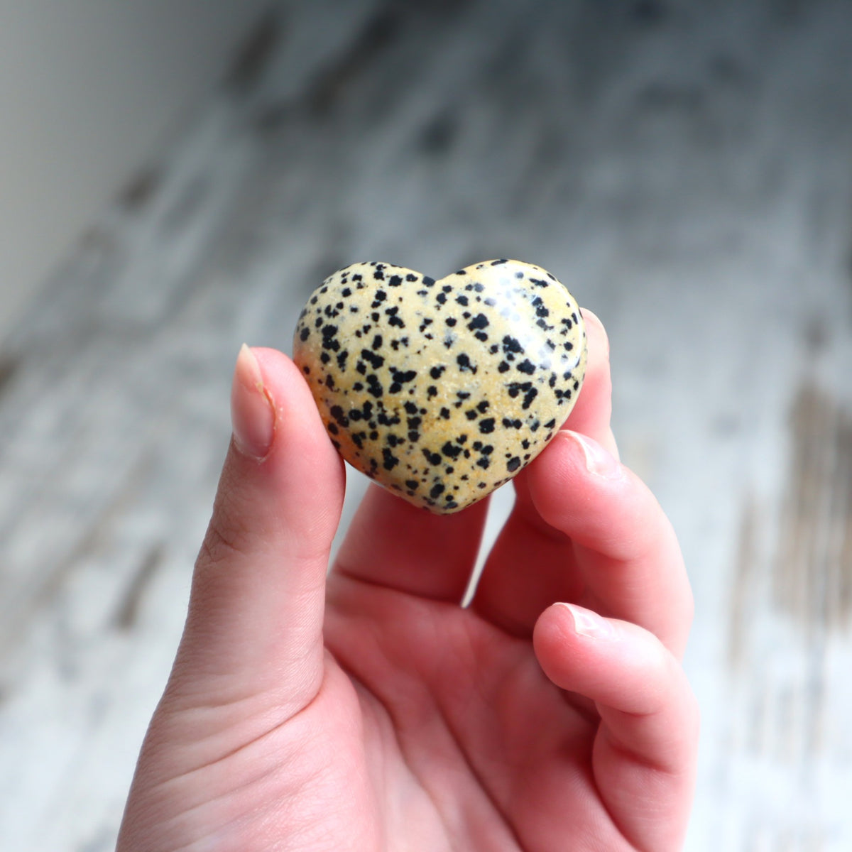 Dalmatian Jasper Mini Heart | Joy, Grounding & Positivity