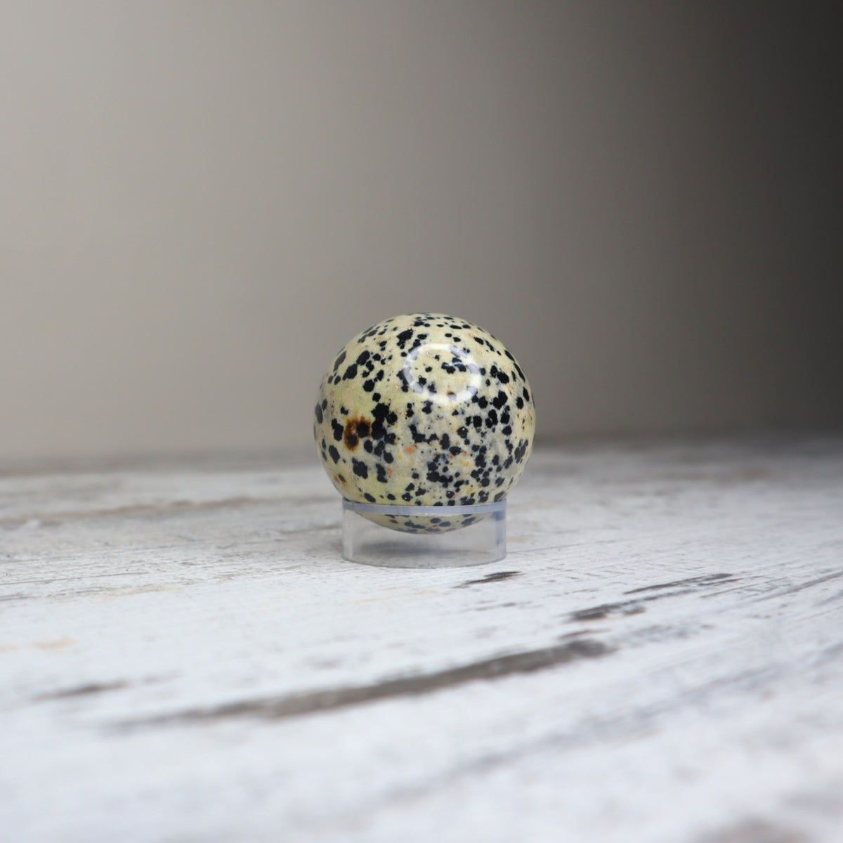 Dalmatian Jasper Sphere | Joy, Grounding & Playful Protection