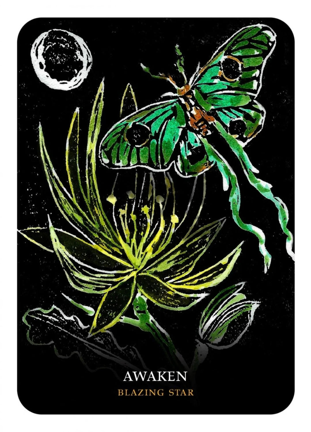 Flowers of the Night Oracle | Flower Wisdom, Intuition & Botanical Magic