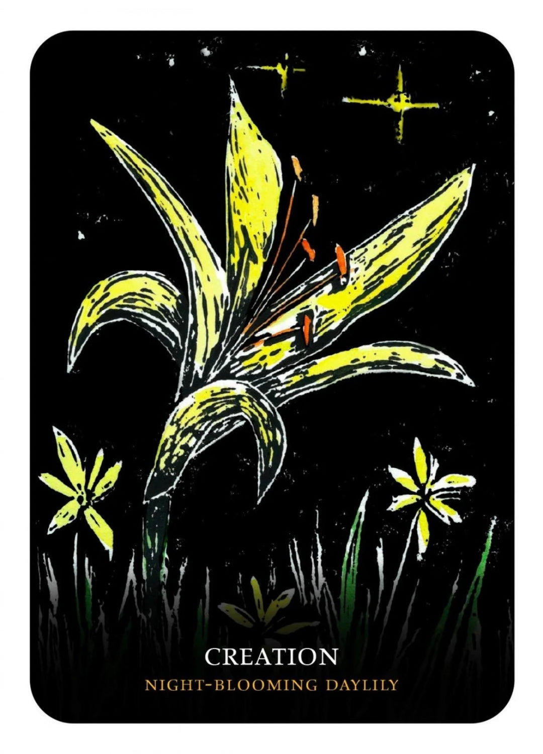 Flowers of the Night Oracle | Flower Wisdom, Intuition & Botanical Magic