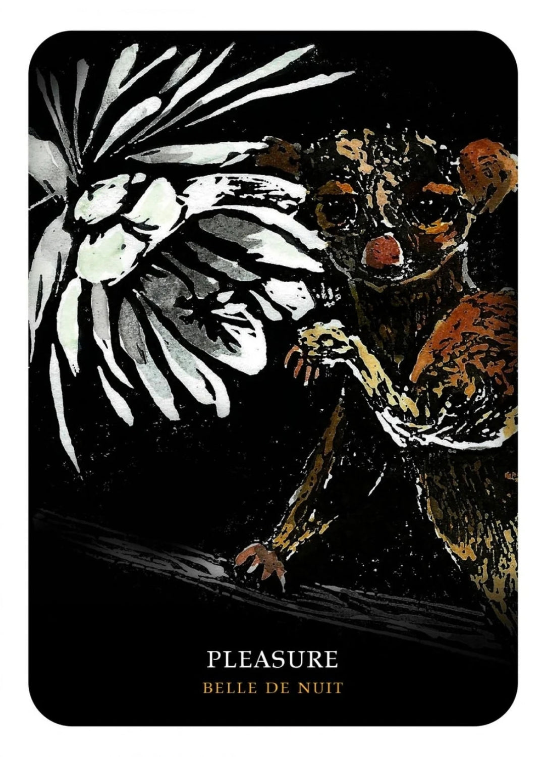 Flowers of the Night Oracle | Flower Wisdom, Intuition & Botanical Magic