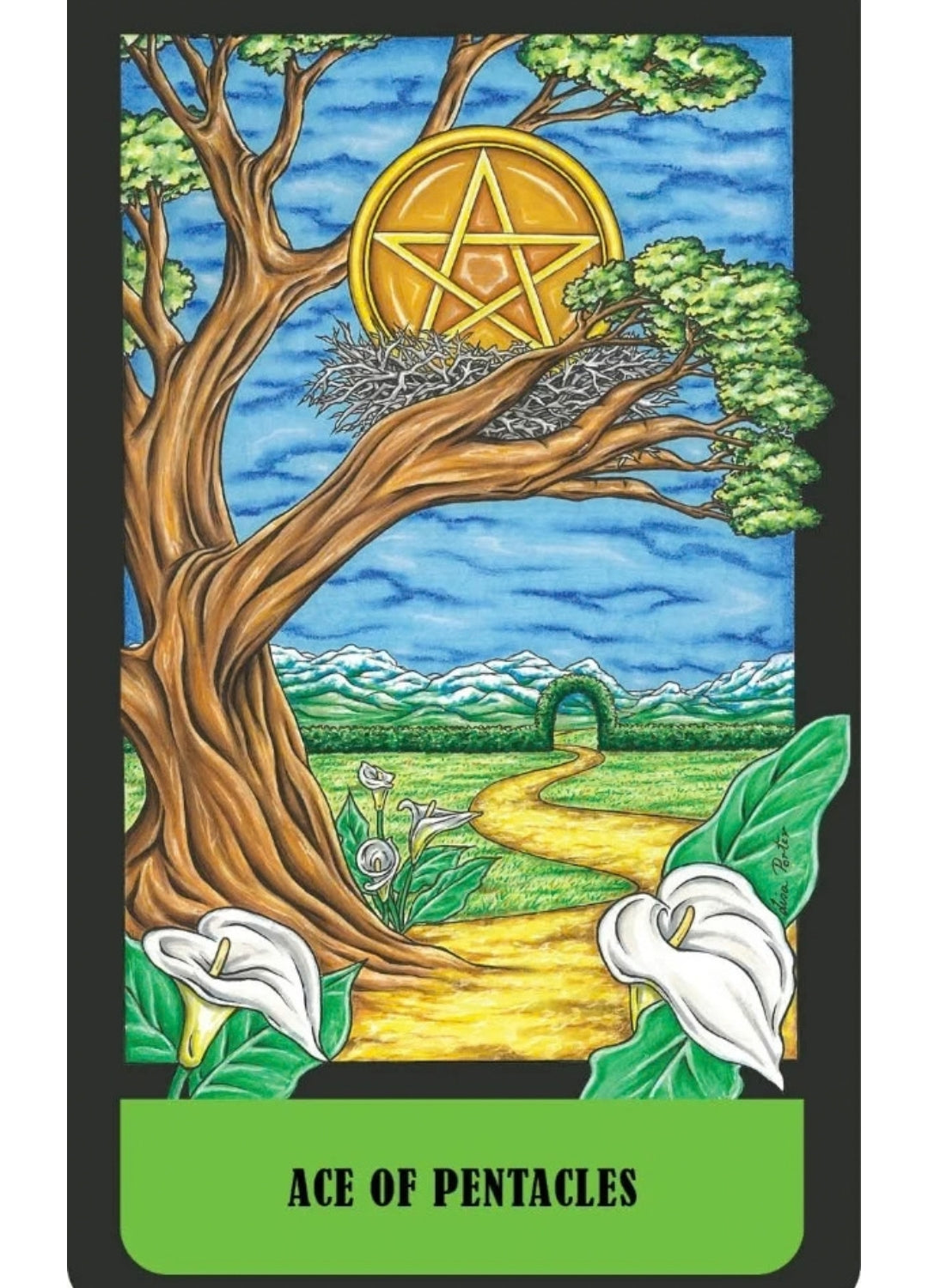 Mystical Realm Tarot | Symbolism, Intuition & Self-Discovery