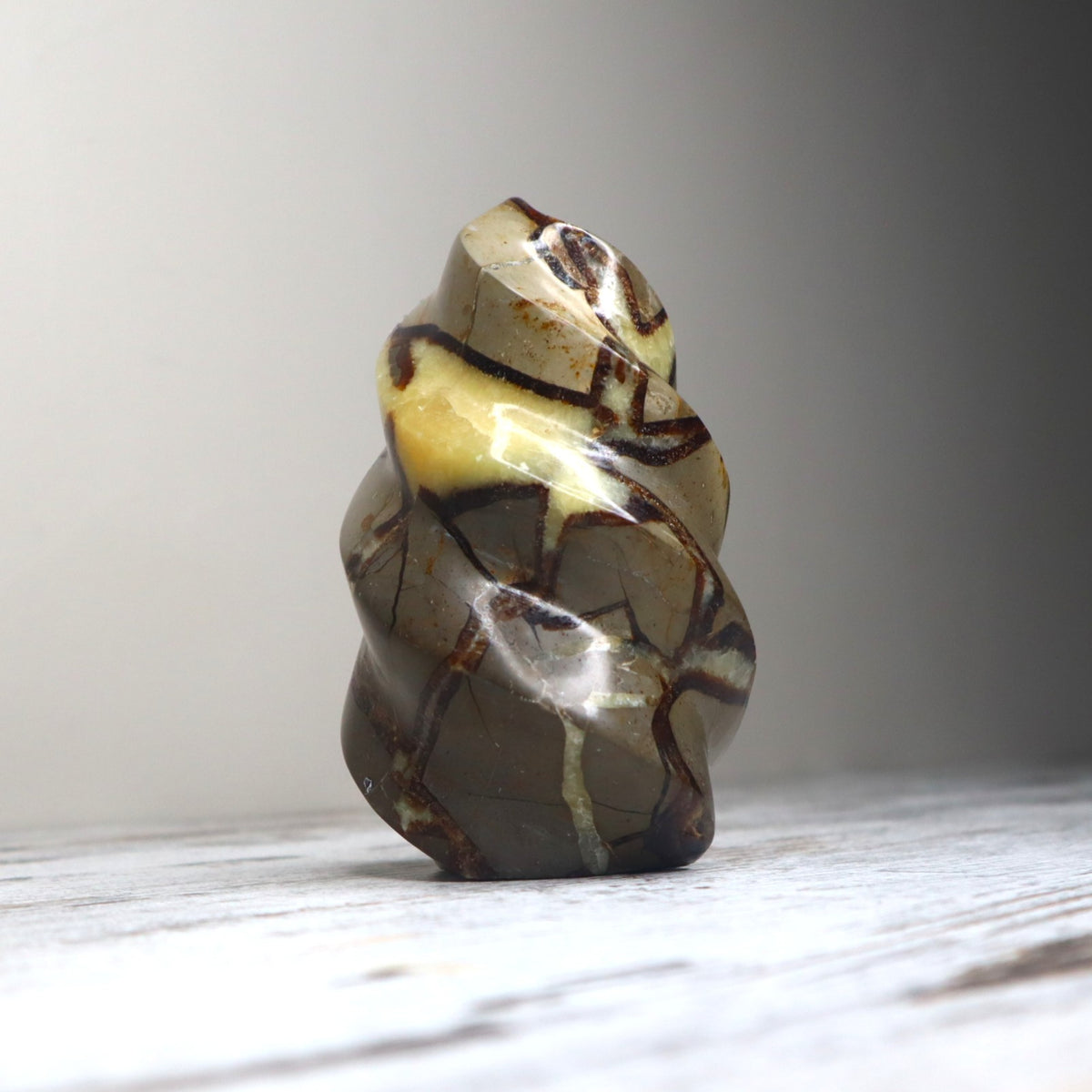Septarian Flame | Grounded Confidence, Ancient Strength & Inner Voice
