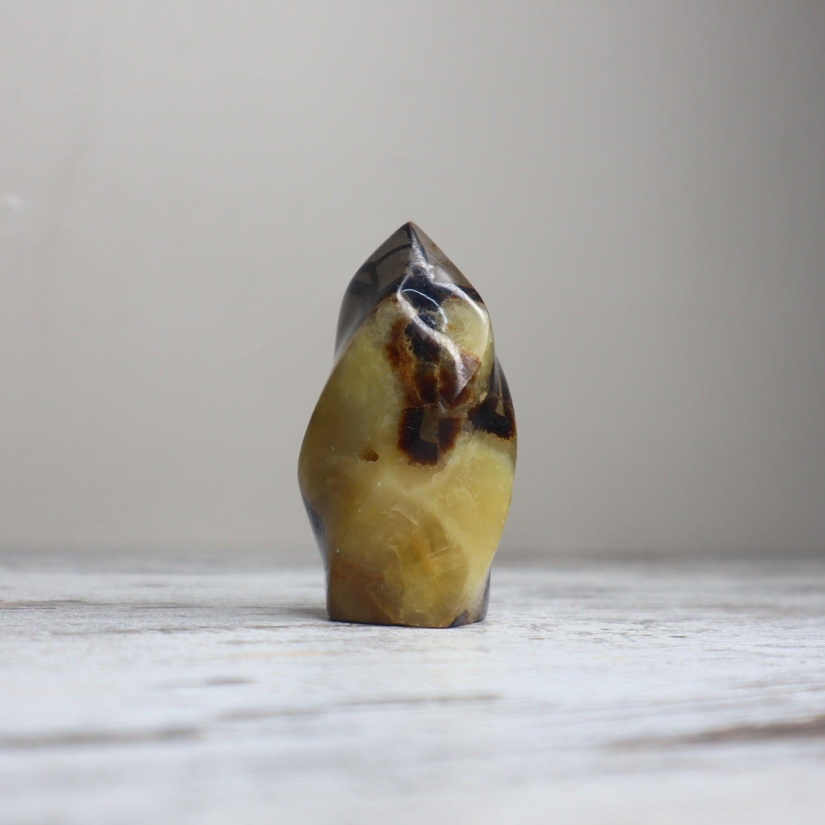 Septarian Flame | Confidence, Grounding & Ancient Wisdom