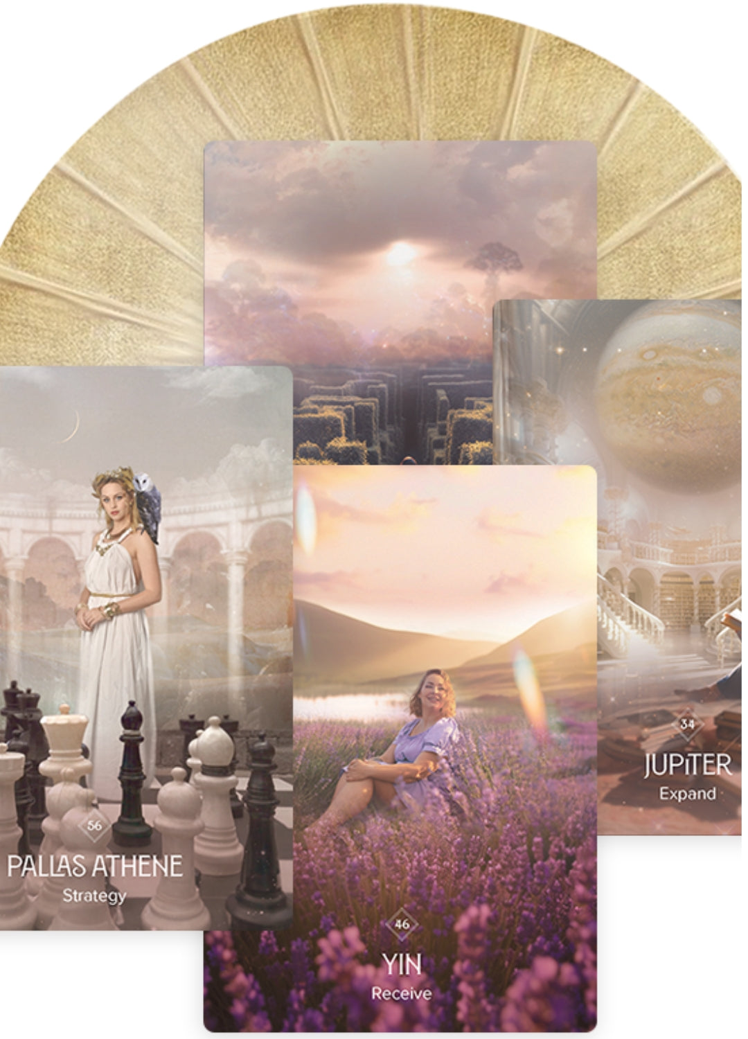 The Business Astrology Oracle