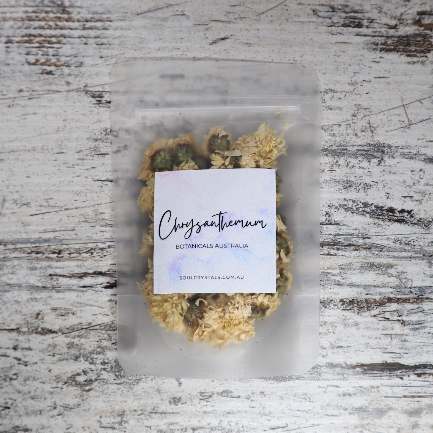 Chrysanthemum Flowers