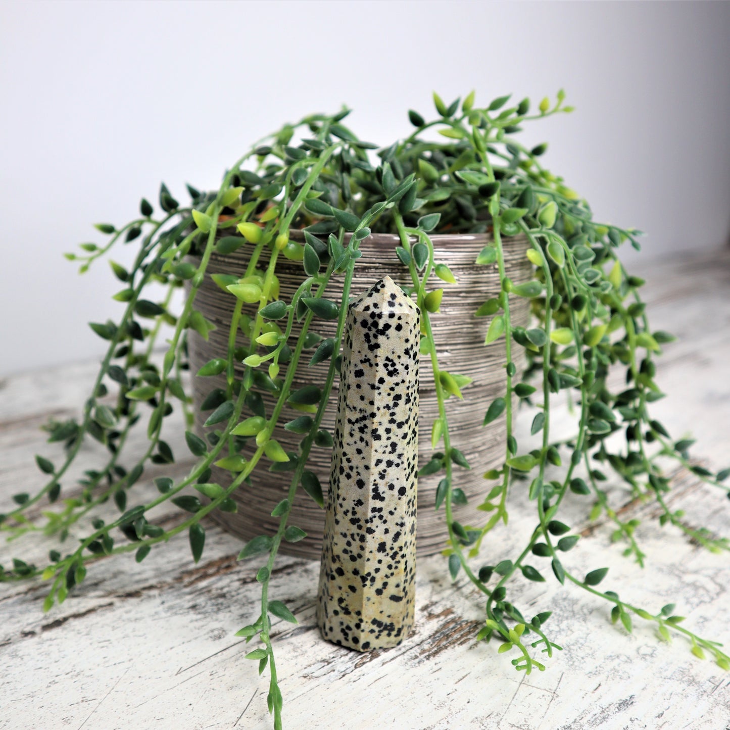 Dalmatian Jasper Point | Joy, Grounding & Playful Protection