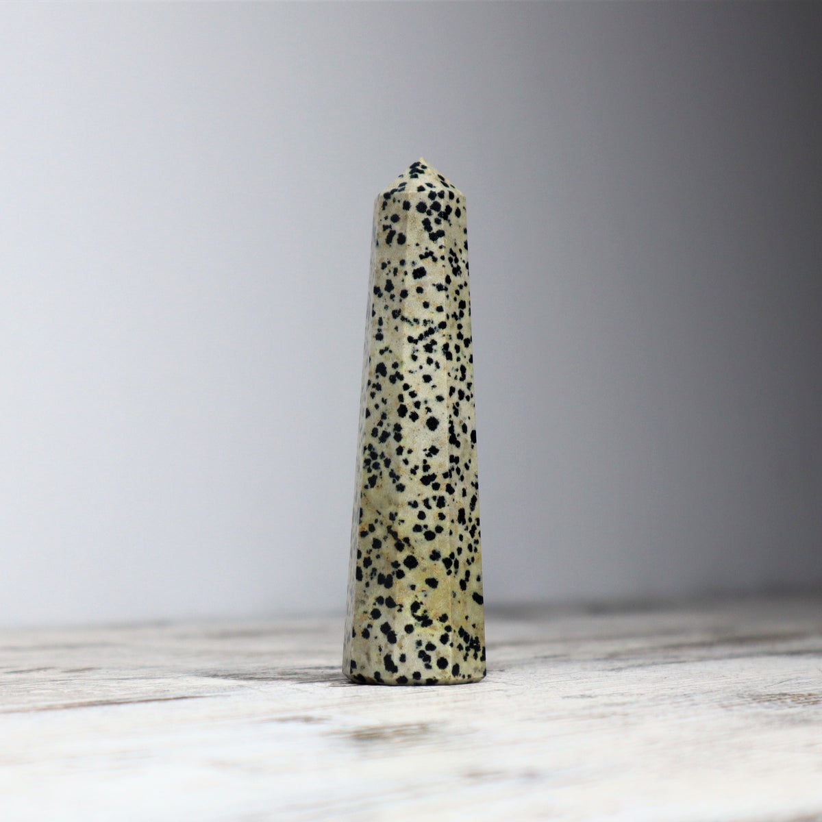 Dalmatian Jasper Point | Joy, Grounding & Playful Protection