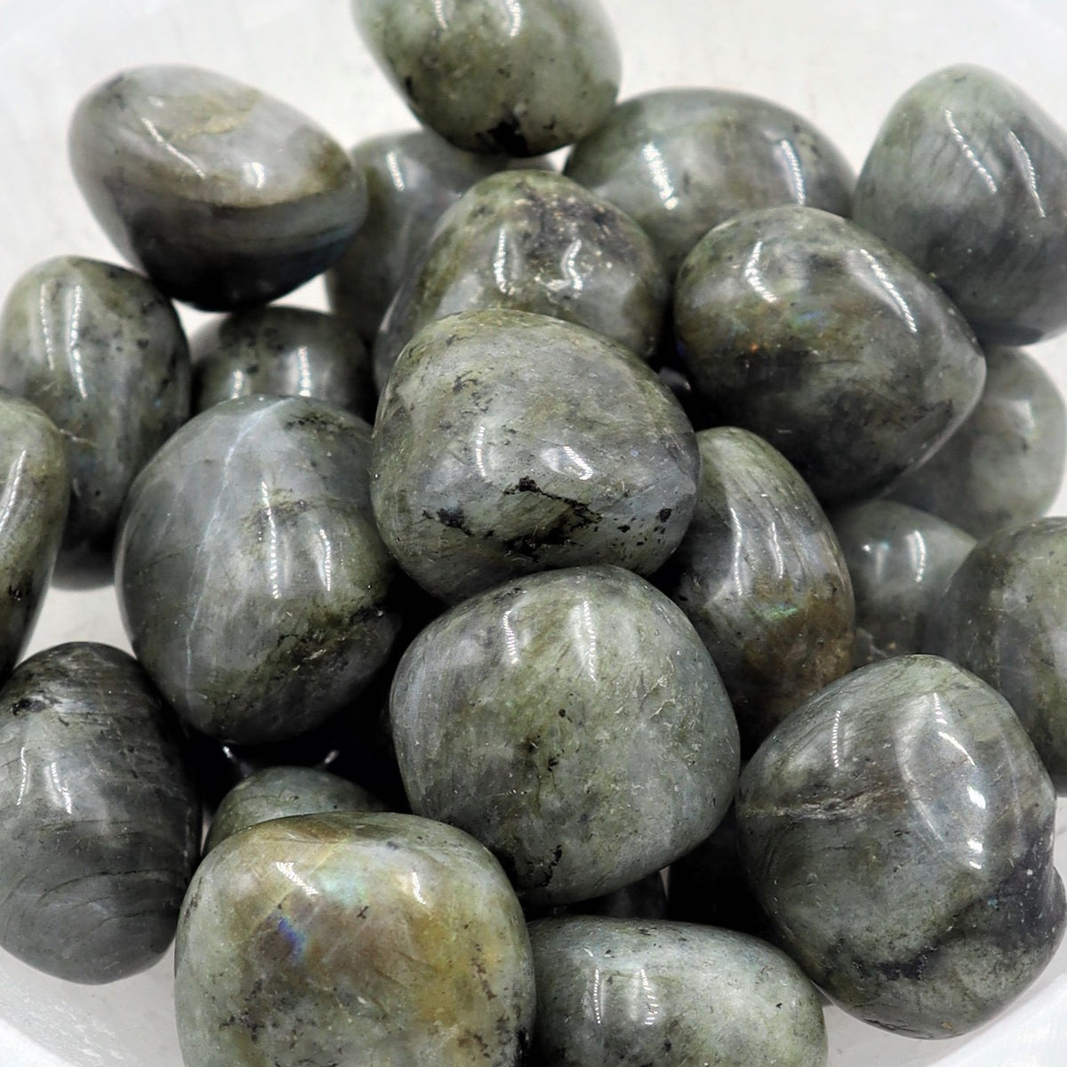 Labradorite Tumble | Protection, Intuition & Transformation