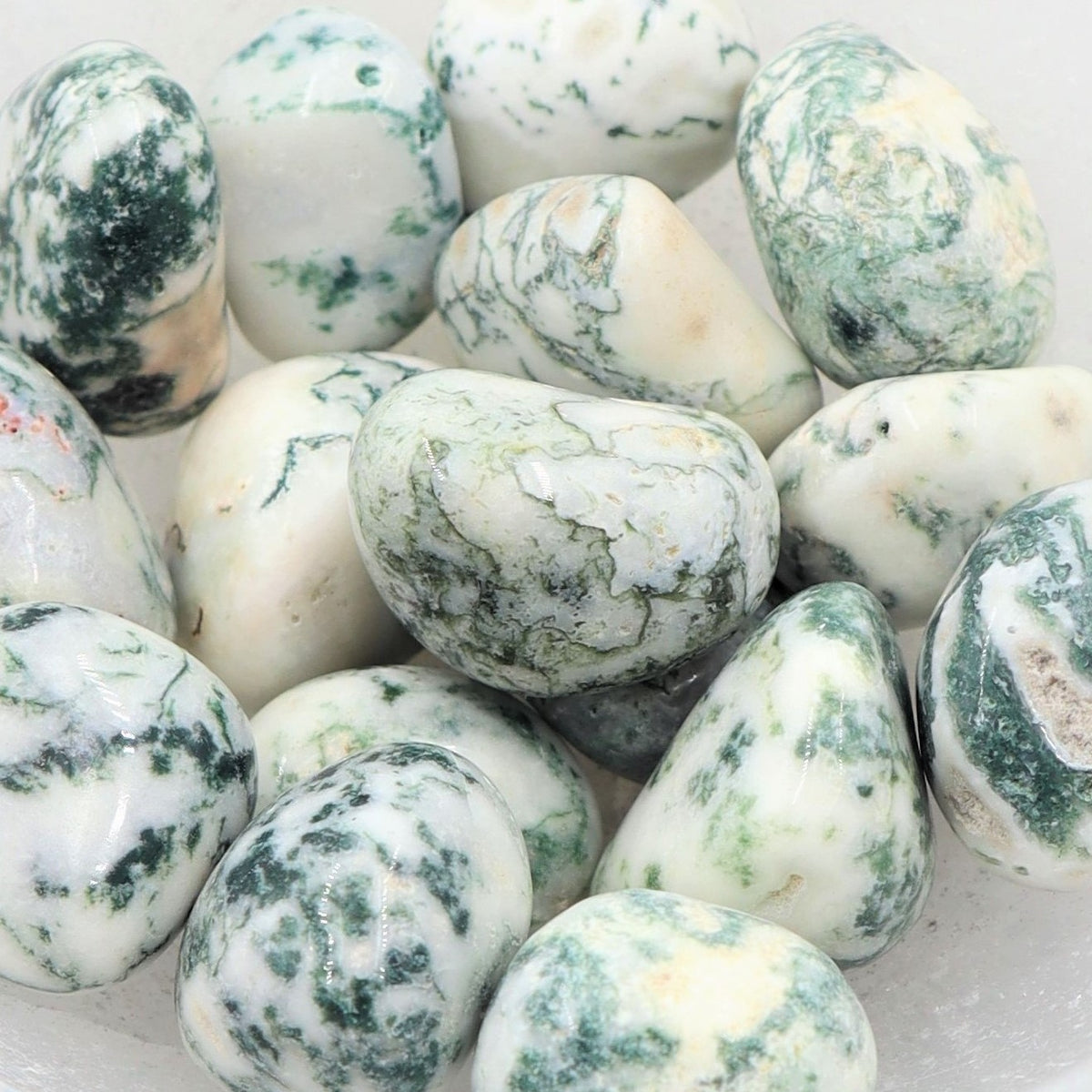 Tree Agate Tumble | Peace, Growth & Nature’s Wisdom