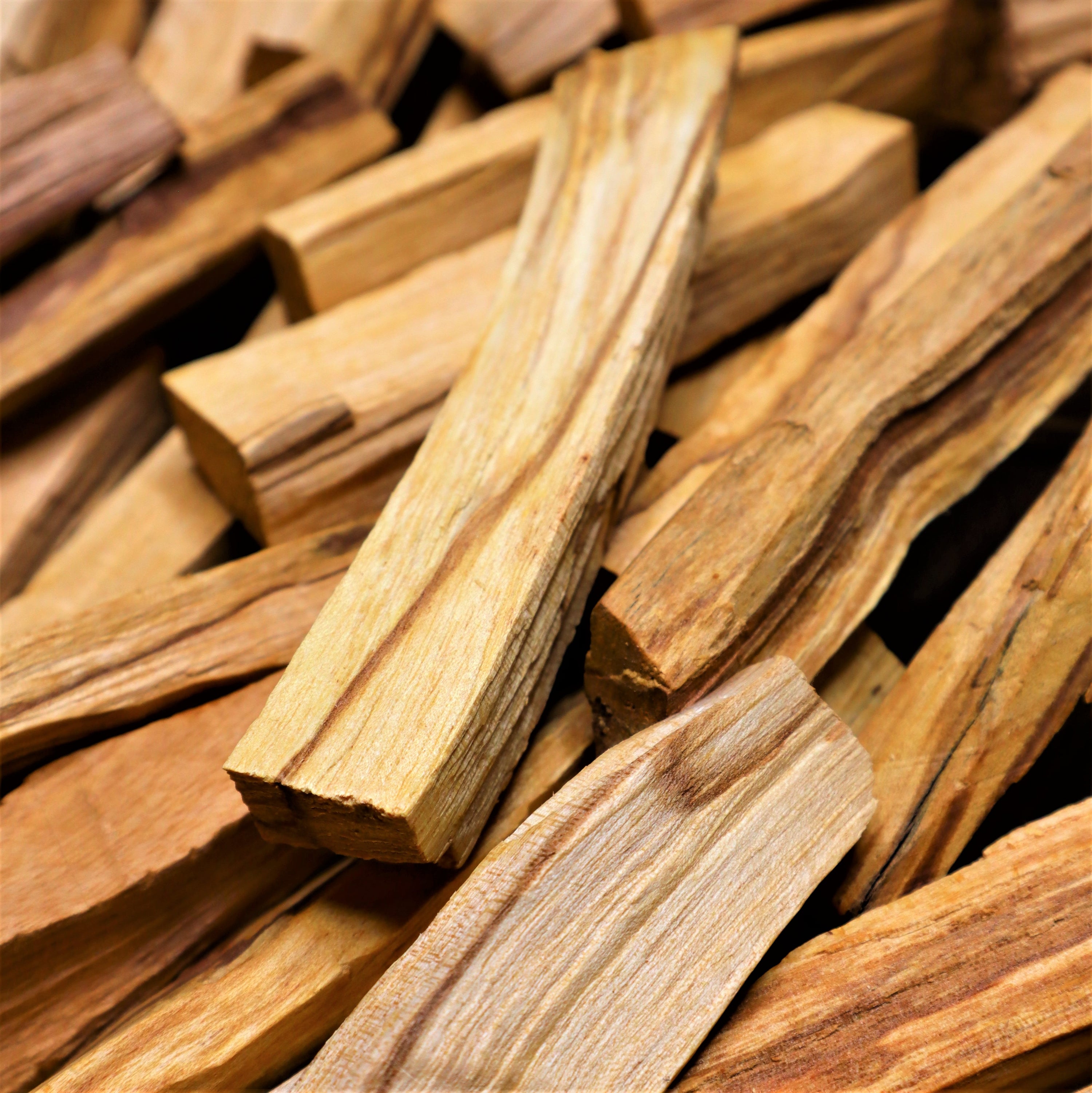 Palo Santo Stick | Sacred Cleansing & Uplifting Energy