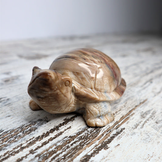 Petrified Wood Turtle Carving | Grounding, Stability & Ancient Wisdom