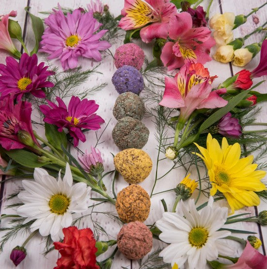 Sagrada Madre Premium Smudge Ball Bombs | 7 Chakra Set | Cleanse, Align &amp; Restore