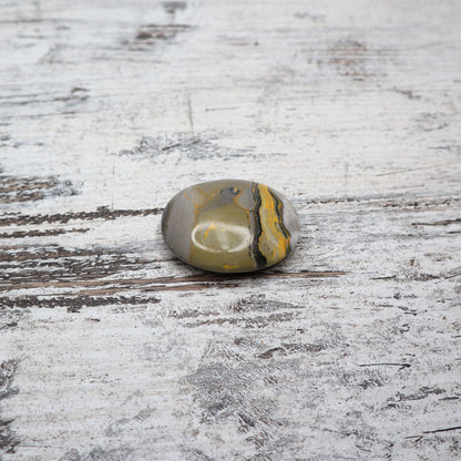 Bumblebee Jasper Palmstones
