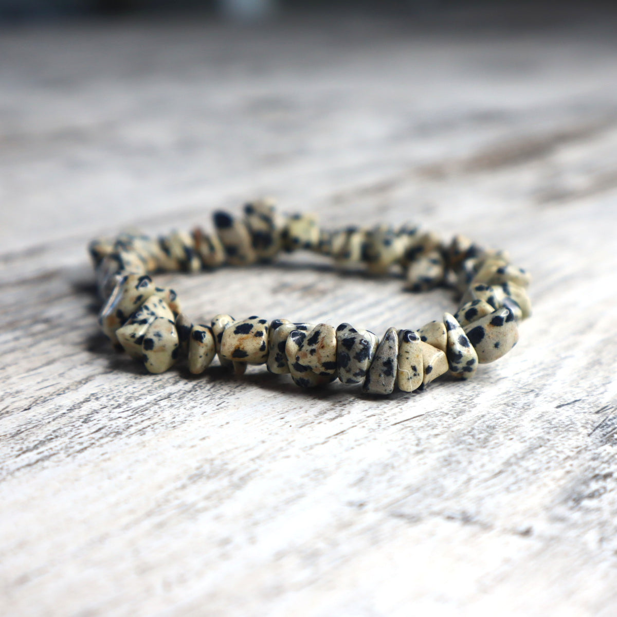 Dalmatian Jasper Chip Bracelet | Joy, Protection &amp; Grounded Playfulness
