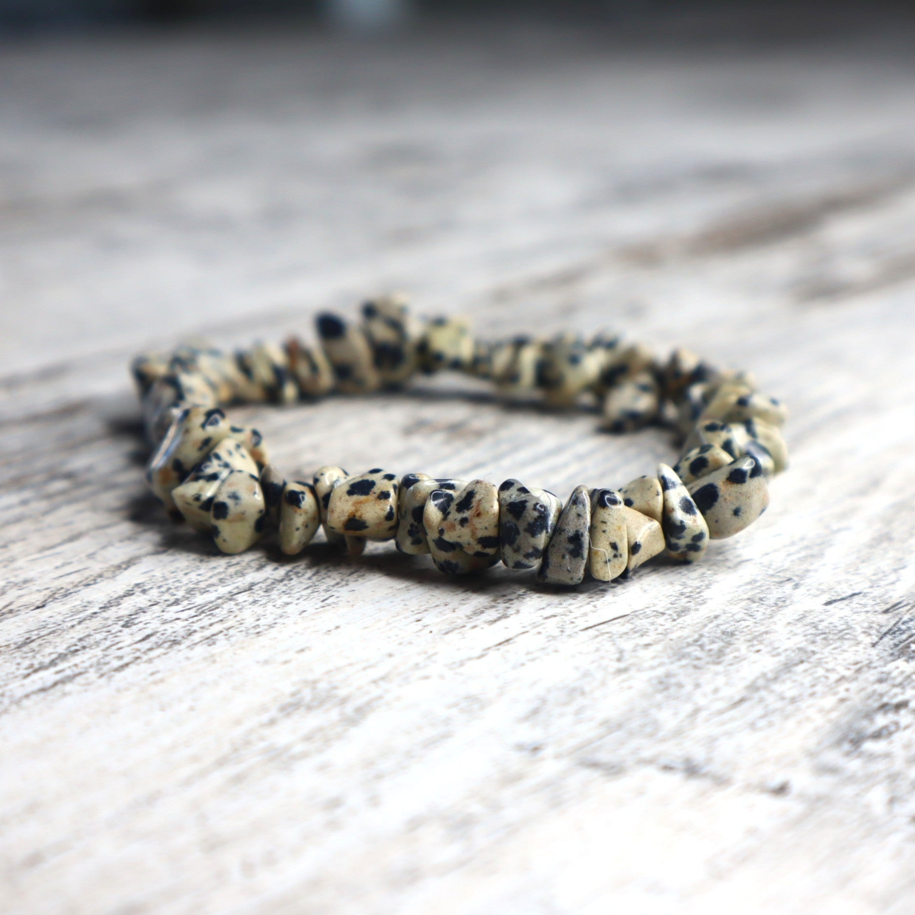 Dalmatian Jasper Chip Bracelet | Joy, Protection &amp; Grounded Playfulness