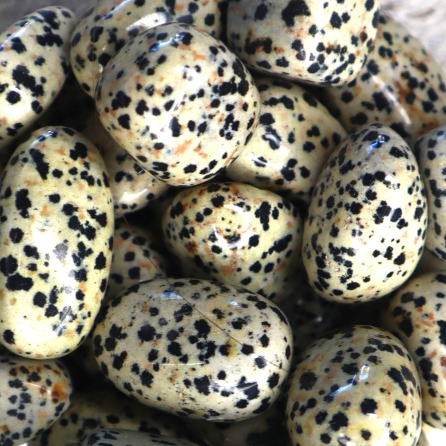 Dalmatian Jasper Tumble | Joy, Positivity &amp; Playful Protection