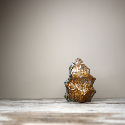 Ocean Jasper Flame (721g)