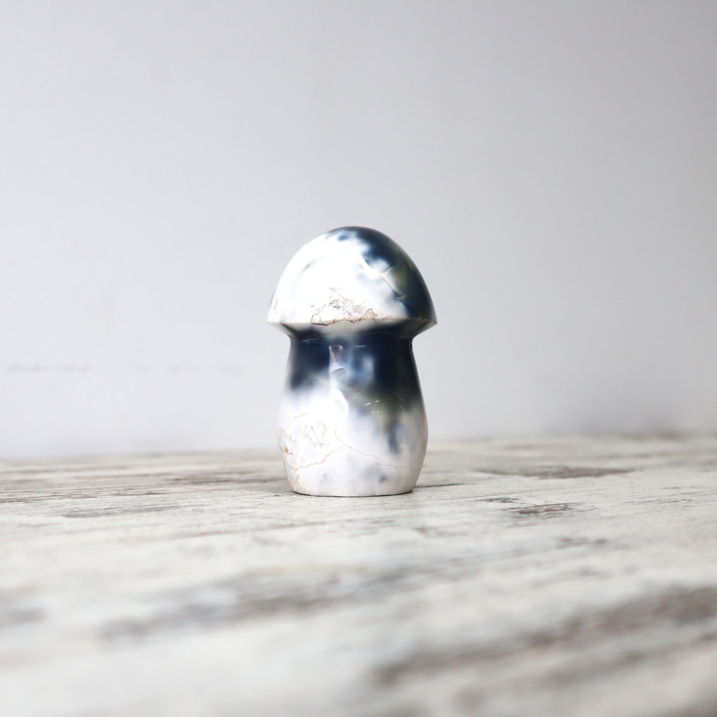 Orca Agate Mushrooms