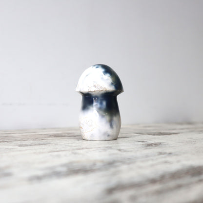 Orca Agate Mushrooms