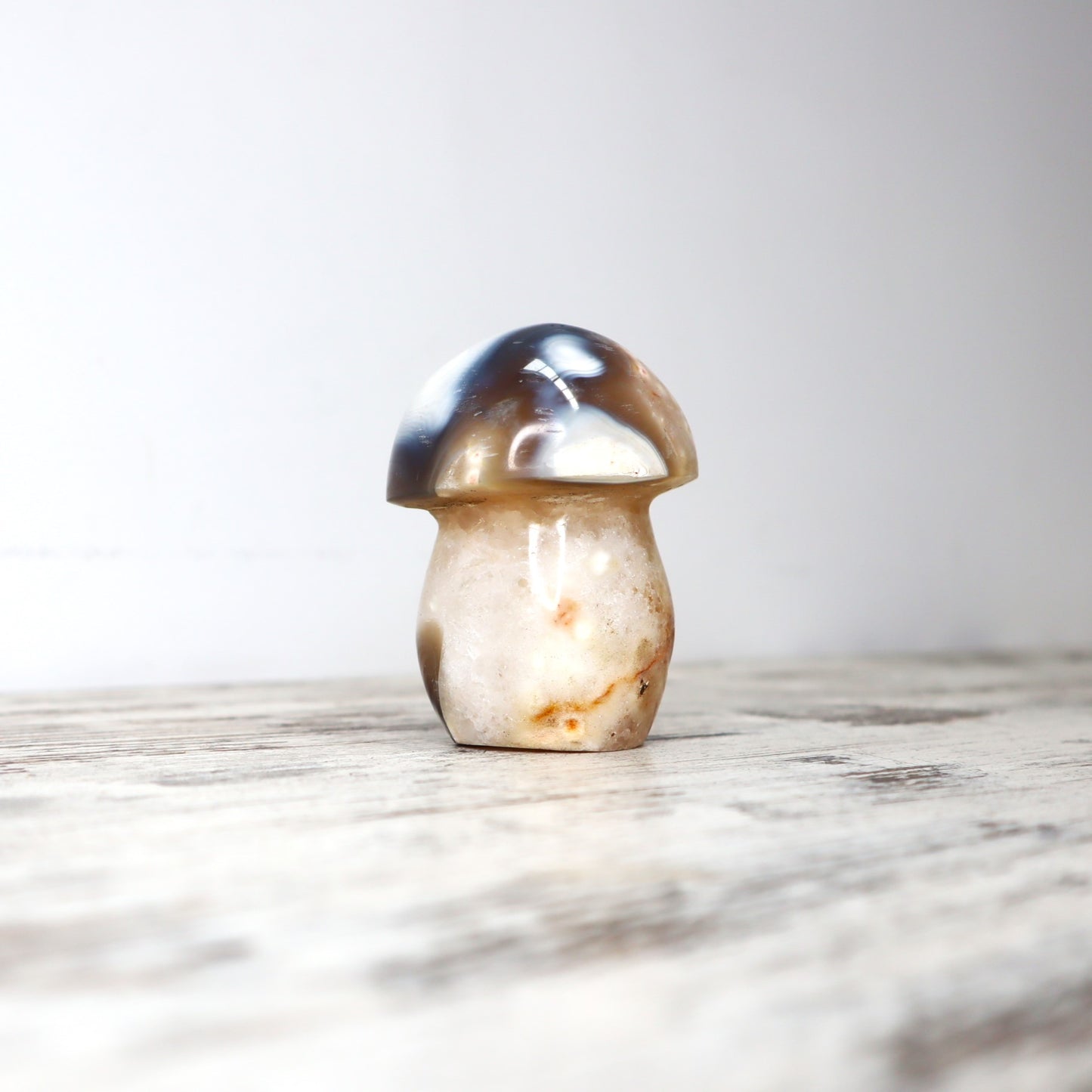 Orca Agate Mushrooms
