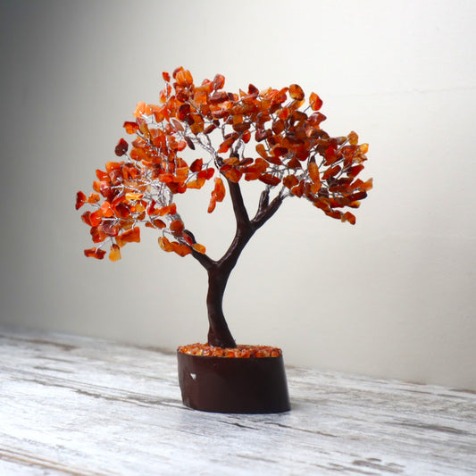 Carnelian Large Crystal Tree | Confidence, Motivation & Vitality