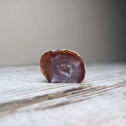 Mini Agate Geode | Calm Focus + Earth Energy
