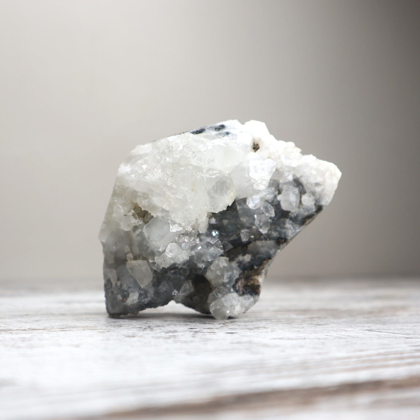 Apophyllite Cluster | Glistening Light + Clarity