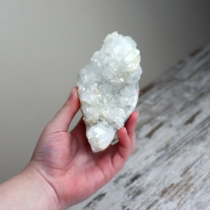 Apophyllite Cluster | Clarity, Intuition &amp; Higher Guidance
