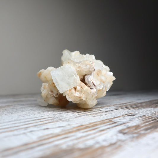 Apophyllite Cluster | Soul Connection + Higher Guidance