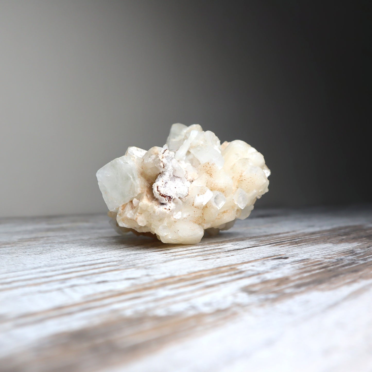 Apophyllite Cluster | Soul Connection + Higher Guidance