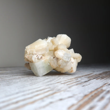 Apophyllite Cluster | Soul Connection + Higher Guidance
