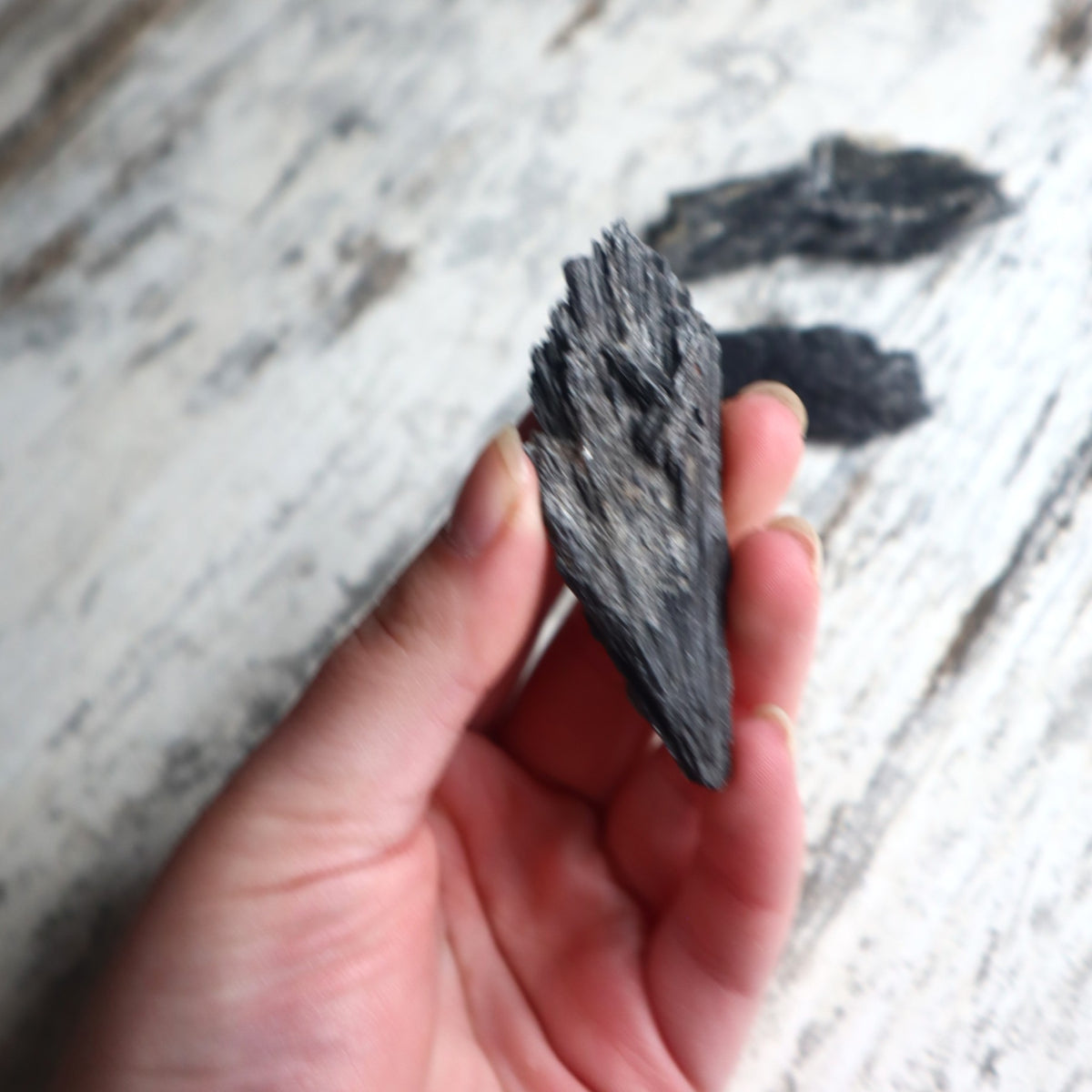 Black Kyanite Mini Cluster | Protection, Grounding &amp; Energy Alignment
