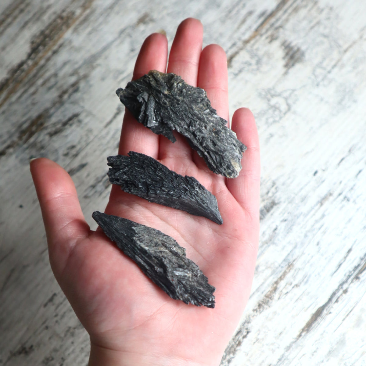 Black Kyanite Mini Cluster | Protection, Grounding &amp; Energy Alignment