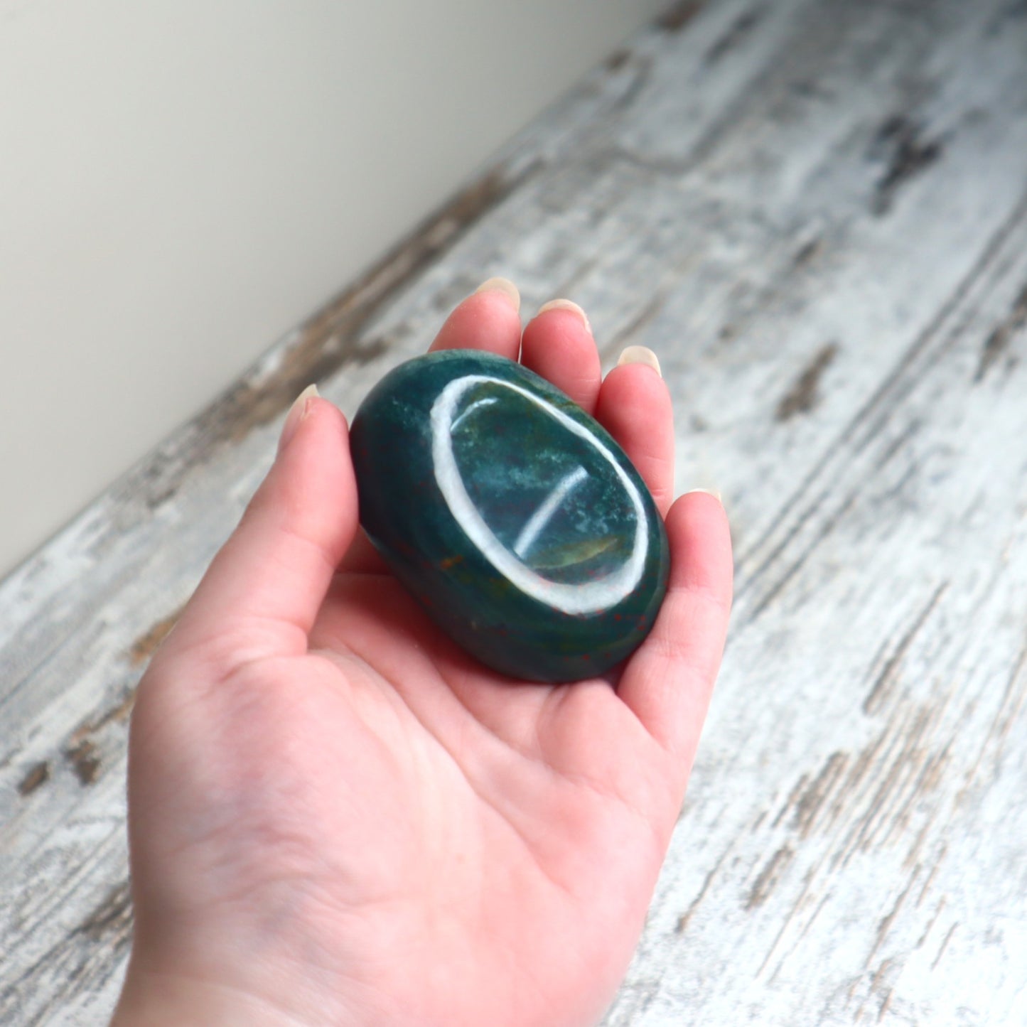 Bloodstone Palm Stone | Strength, Courage & Grounded Vitality