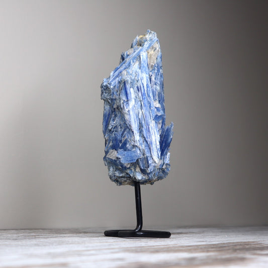 Blue Kyanite Cluster on Stand (LGE 1KG)