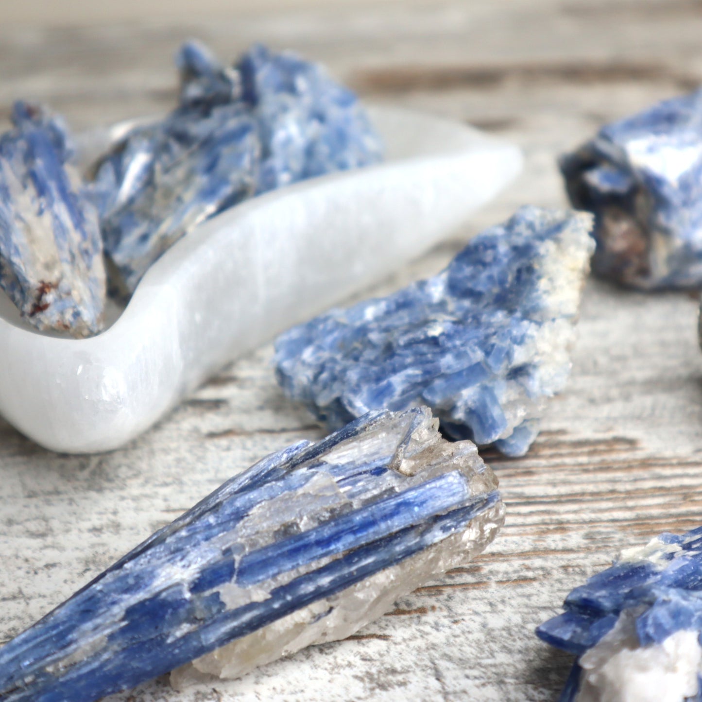 Blue Kyanite Mini Cluster | Alignment, Clarity & Calm Communication
