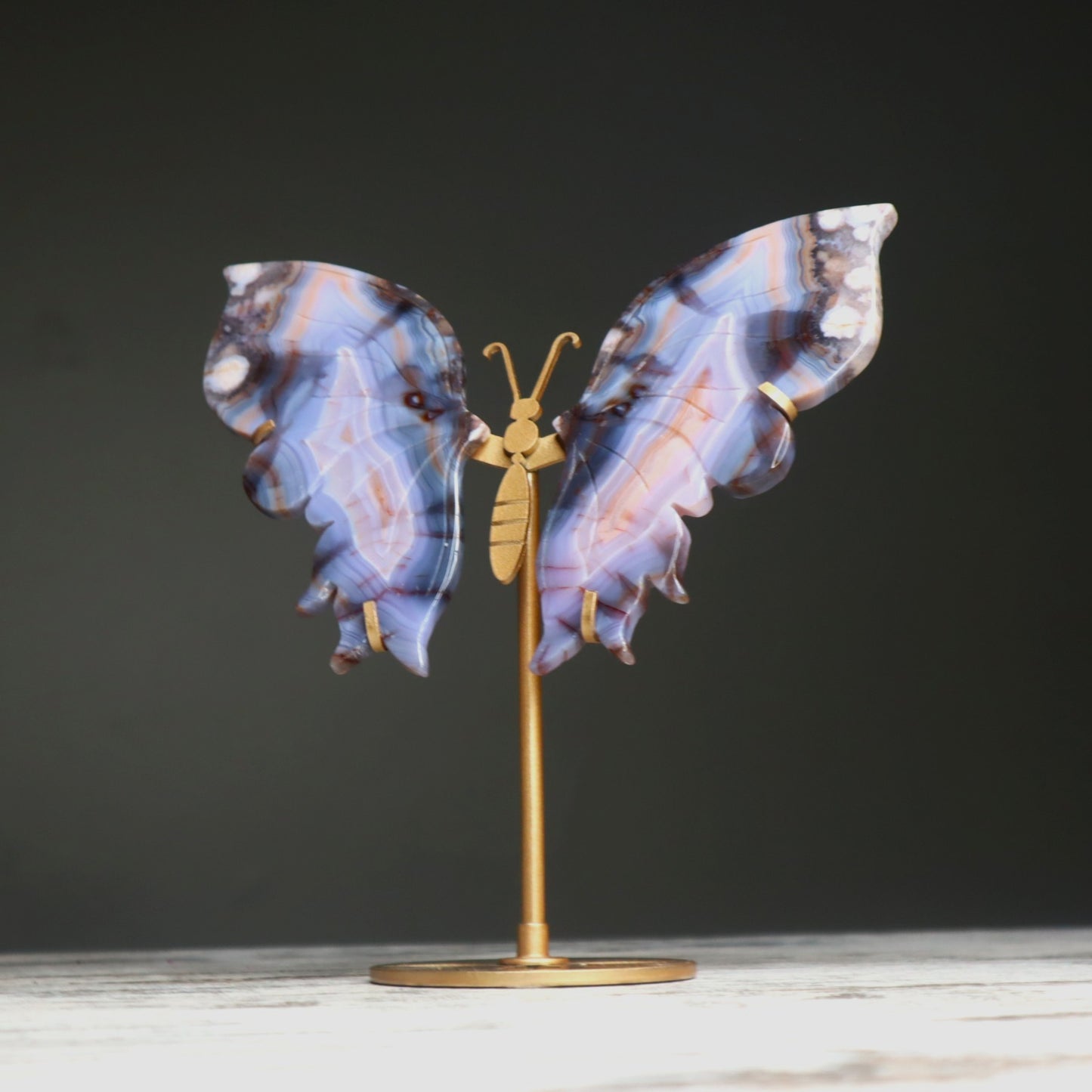Blue Banded Agate Butterfly Wings on Stand | Calm, Balance & Gentle Growth