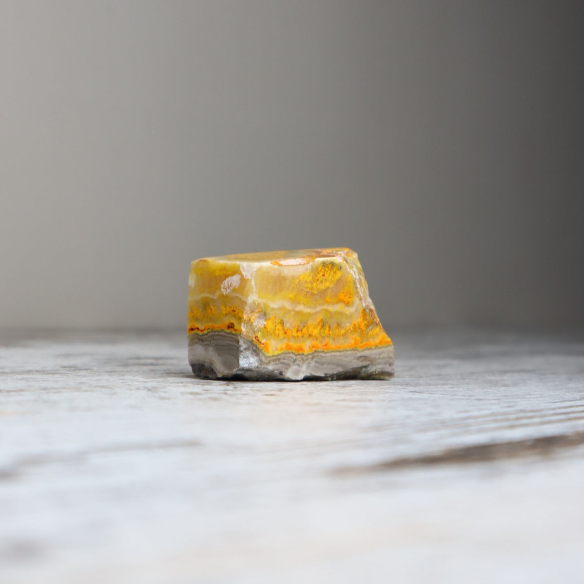 Bumble Bee Jasper Mini Freeform | Confidence, Creativity &amp; New Beginnings